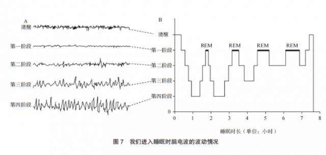 幸福的科学：像对待工作一样严肃对待睡眠