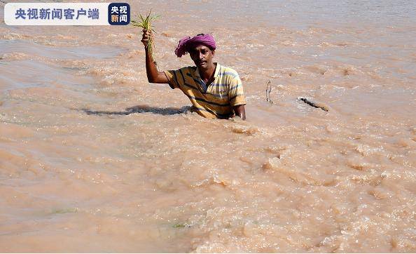 印度阿萨姆邦洪水已造成73人死亡370万人受灾