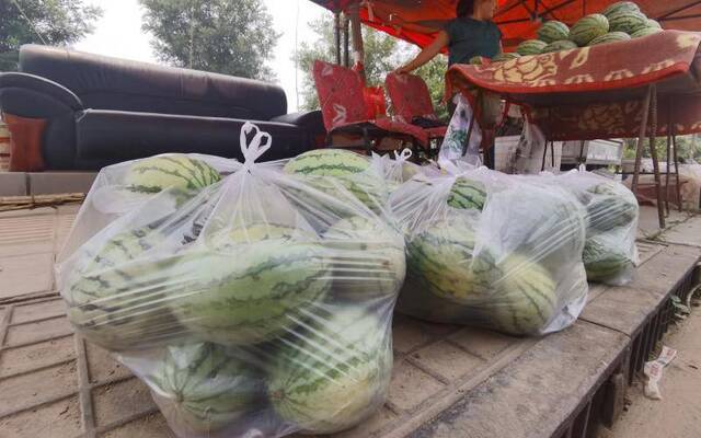 已经被客户订出的西瓜装好了袋子。新京报记者王颖摄