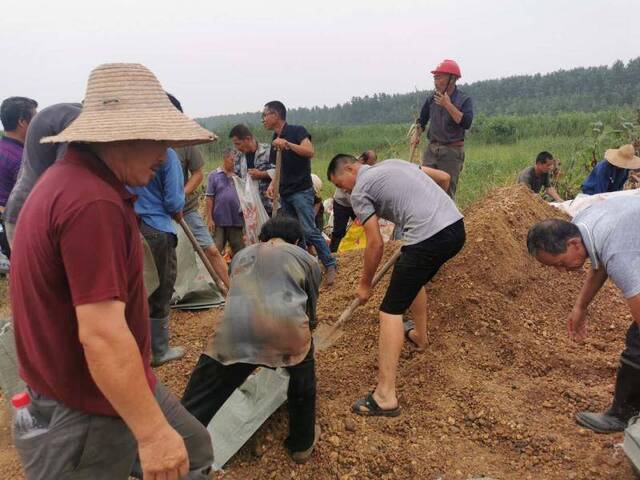 岳阳团洲乡处置管涌险情：村民跳进水中“堵漏”