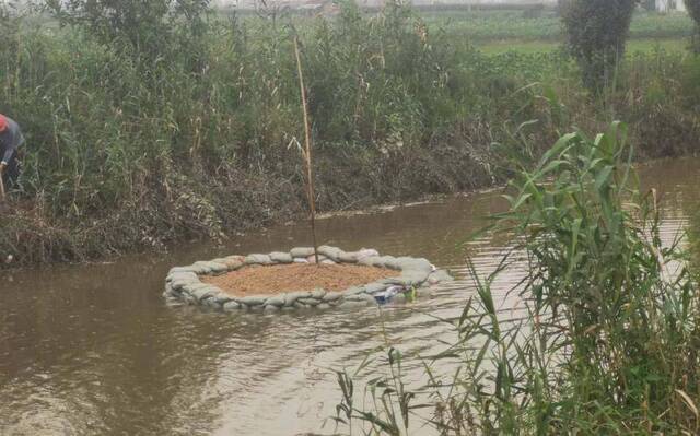 岳阳团洲乡处置管涌险情：村民跳进水中“堵漏”