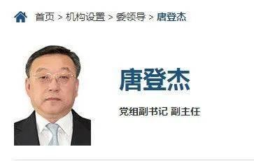 唐登杰已任国家发改委党组副书记、副主任，张勇卸任