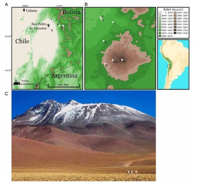 智利尤耶亚科火山山顶发现黄背叶耳鼠打破哺乳动物栖息地海拔的世界纪录