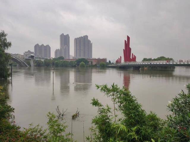 江苏省发布暴雨警报、大风警报：全省13城市均有雨