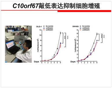 陈同学论文中的仪器出现在小学实验室不合常理