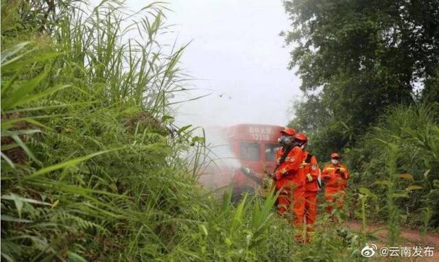 云南省财政厅紧急下达黄脊竹蝗防控经费500万元