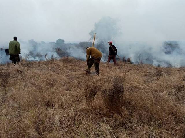 肯尼亚最大国家公园发生丛林火灾