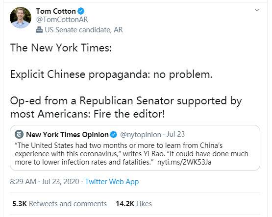 美媒刊登中国学者文章后，遭到美国一群人疯狂攻击