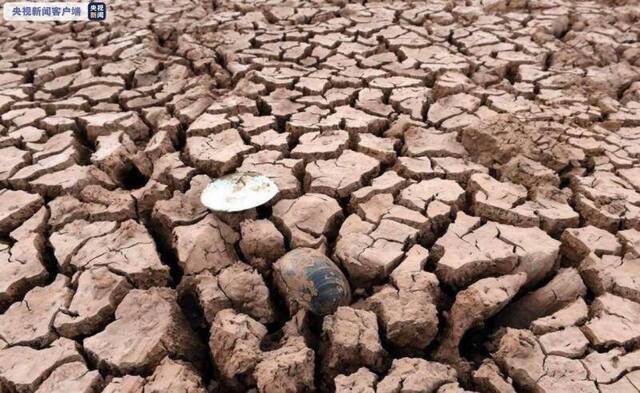 辽宁持续5天发布高温橙色预警 已有超千万亩农田受旱