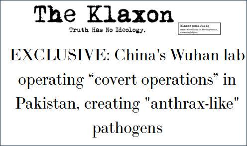 “The Klaxon”调查报告
