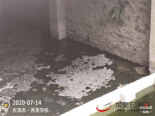 东莞市水污染治理现场指挥部组织督导河涌面源污染防治 2条河涌整治较差被要求立即整改