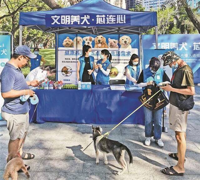 100家犬只芯片注射点逐步开放