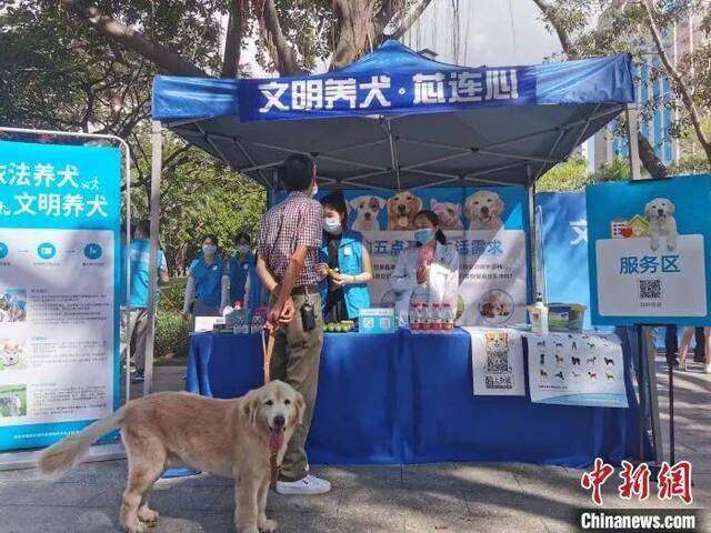 图为“文明养犬·芯连心”犬只芯片植入进社区活动现场。崔松摄