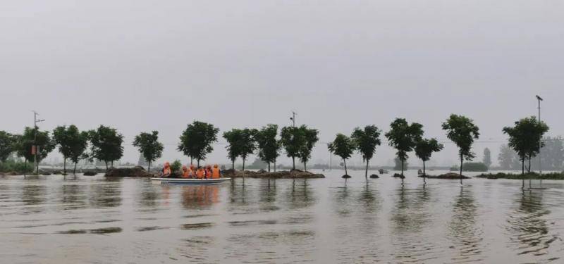 7月23日，安徽阜阳濛洼蓄洪区进洪后水位上涨，许多树木下半部分都被淹没。摄影/本刊记者霍思伊