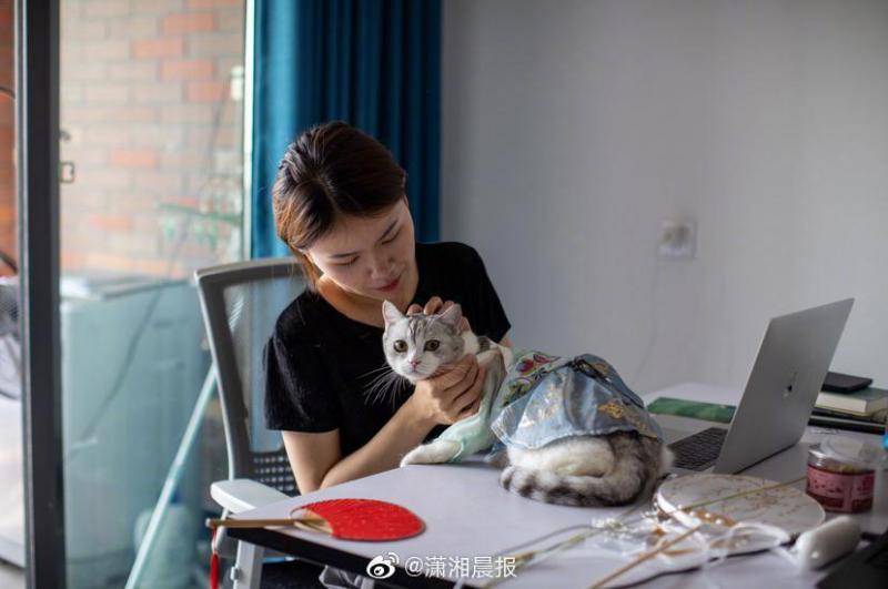湖南90后女孩辞职给猫做汉服月收入超7万