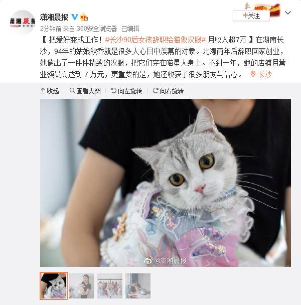 湖南90后女孩辞职给猫做汉服月收入超7万