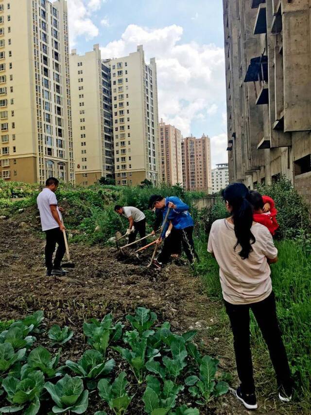 住进烂尾楼的业主在楼前空地开荒种菜，搭伙做饭，过上“吉普赛人”式的生活。