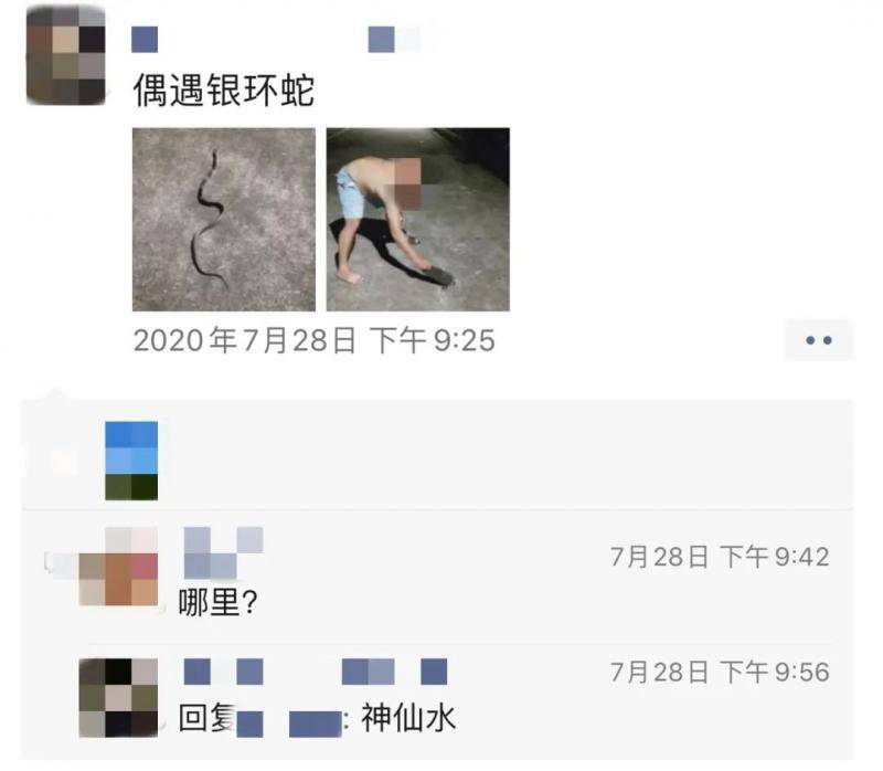 注意！东莞这个公园惊现“银环蛇”！