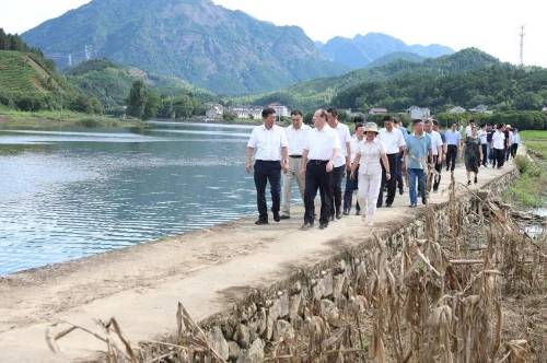 浙江开展山水林田湖草生态修复行动 筑牢钱塘江上游生态屏障