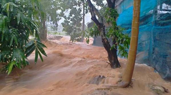 受热带风暴“森拉克”影响泰国多地发生洪涝致3人死亡