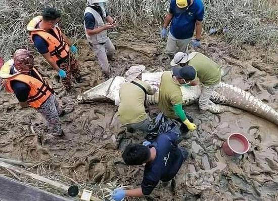 4米长鳄鱼吃掉14岁男孩警方剖开鳄鱼肚子找到遗骸
