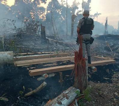 巴西官方:亚马孙地区今年以来71%毁林烧荒地区变农田