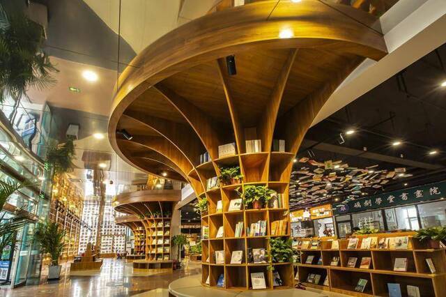 文艺和烟火交融平谷“最美书店”提升城市品位
