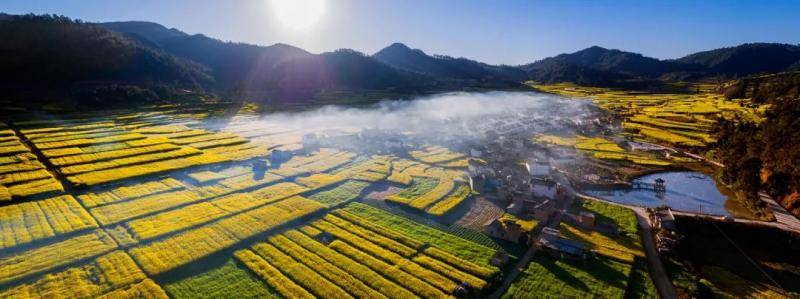 晨光花海塔冲村李江摄