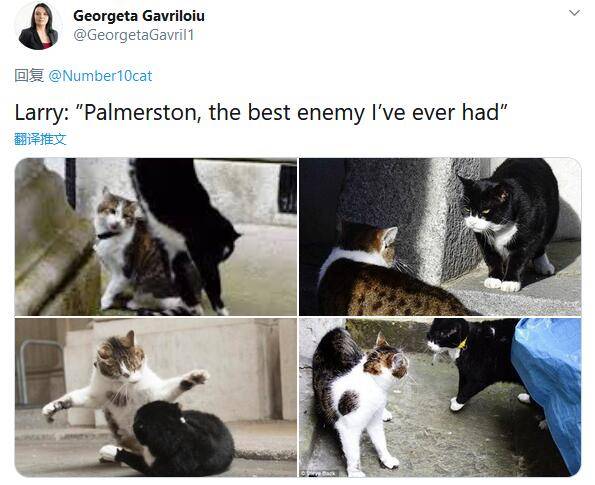 英国外交部首席捕鼠官Palmerston卸任退休
