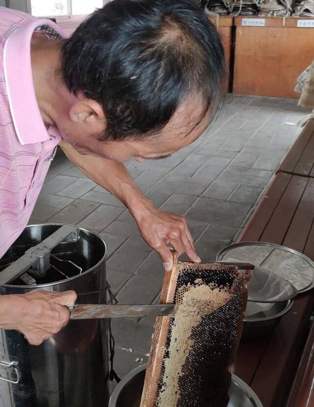 好蜂蜜如何鉴别？新京报直击天然蜂场现场为网友教学