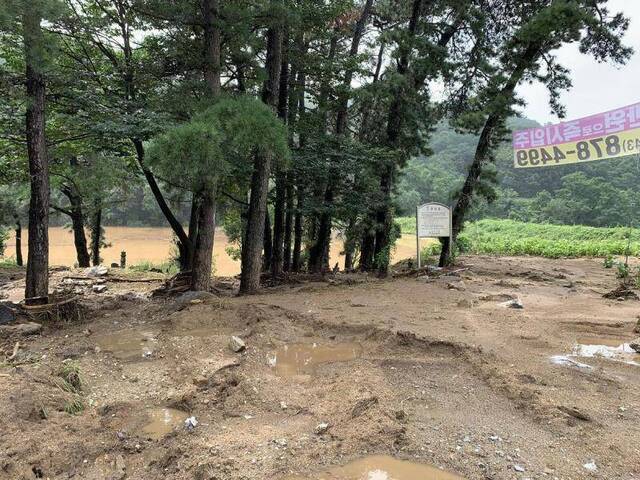 韩国暴雨灾害已致30人死亡台风将至或使灾情持续扩大