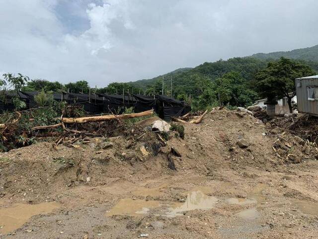 韩国暴雨灾害已致30人死亡台风将至或使灾情持续扩大