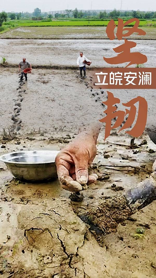 如何让“江”“湖”安澜？答案是……