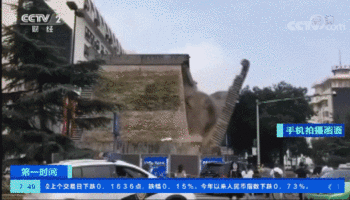 ▲8月8日，西安明秦王府城墙部分墙体发生约20米坍塌。图据央视新闻