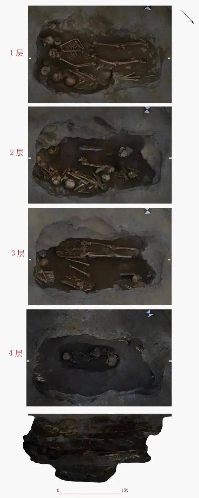 丽江一中学重建足球场 发现3千平米古墓单坑19颗头骨