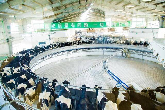 蒙牛：全产业链智能化把控，推动中国乳业质量提升