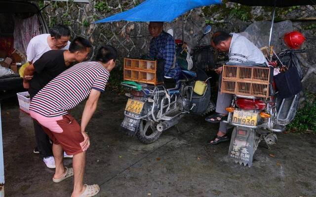 贵州丹寨大集6天赶一次 一天是“狗场”一天是“龙场”