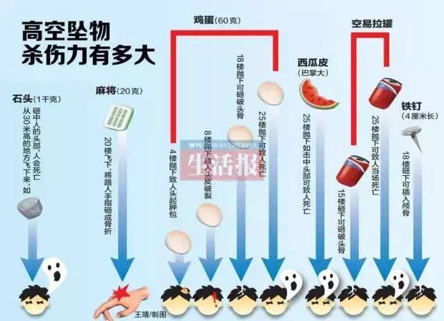 遛狗老人被高空坠猫砸晕，金毛直接拦下“肇事”猫