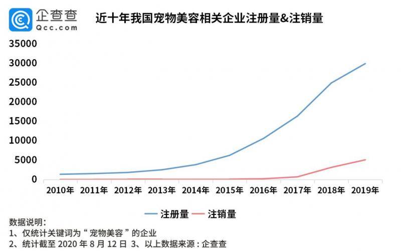 龙鱼美容师火了！宠物美容企业年注册量10年增长超20倍