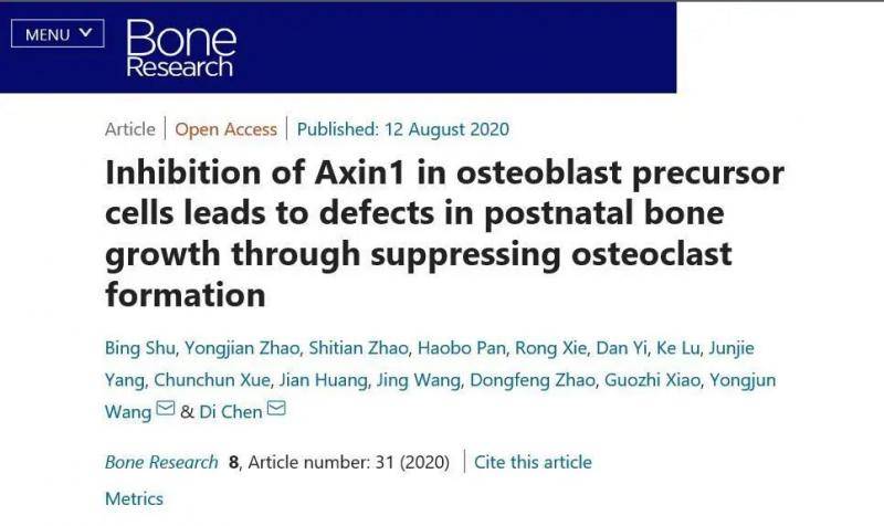 新闻｜王拥军、陈棣联合团队在《Bone Research》发表骨发育调控机制的研究成果