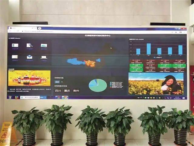 “红蜻蜓”溯源可视化展示中心。重庆市粮油行业协会供图