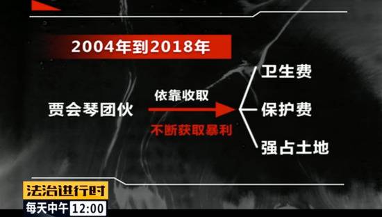 北京朝阳58岁“女村霸”欺行霸市14年获刑15年