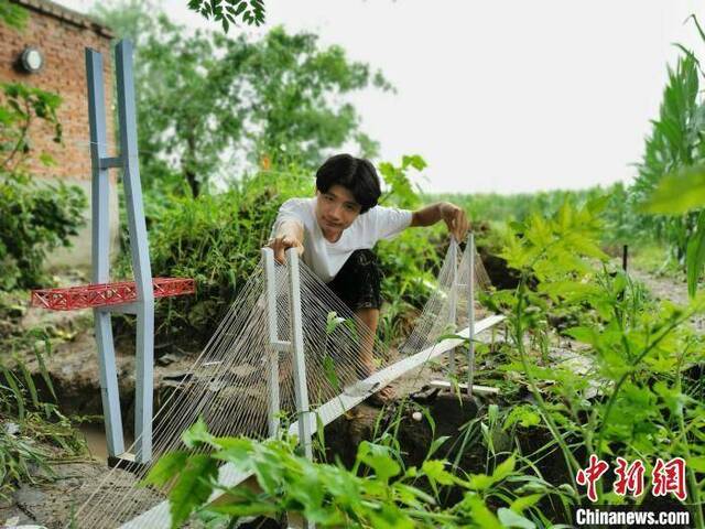 架设在菜地里的“跨江大桥”张强摄