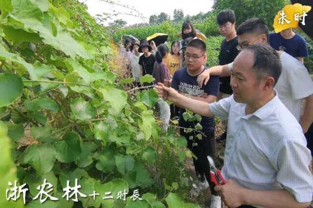 浙农林十二时辰，每一个时辰都值得你拥有