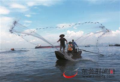 ▲渔民在珠江口水域撒网捕鱼