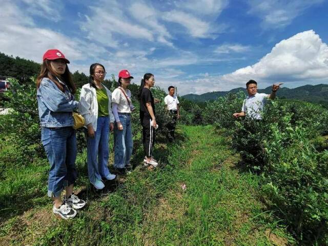 搬进大山里的研究生工作站