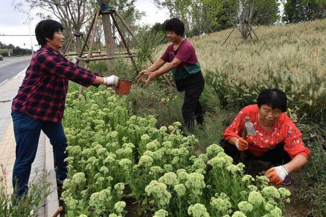 副中心城市绿心开园在即，亮点抢先看