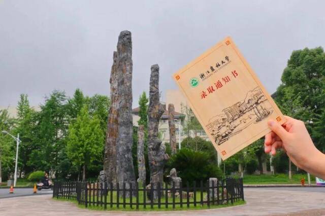 浙江农林大学，我想陪你从A走到Z