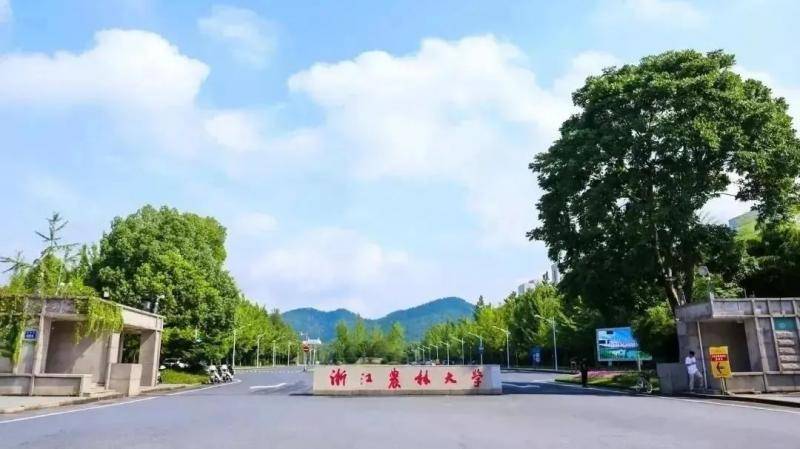 浙江农林大学，我想陪你从A走到Z