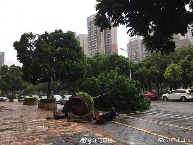 广州江门大暴雨伴有13级大风台山新会暴雨红色预警